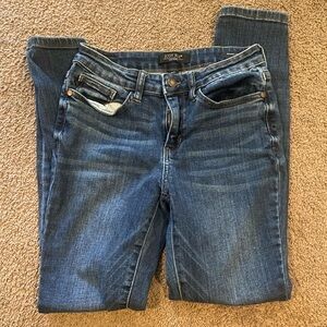 Judy Blue Dark Wash Skinny Jeans